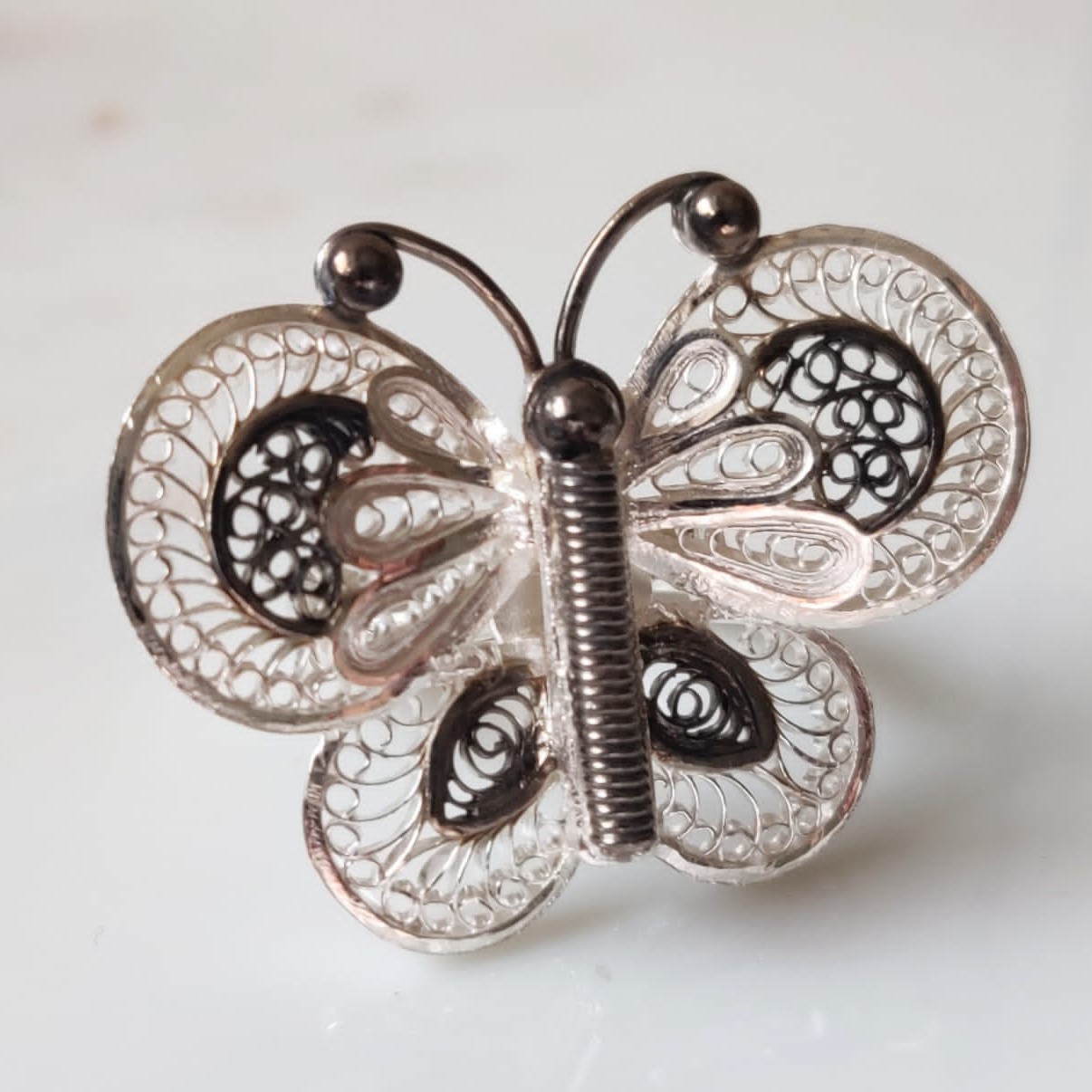 Chrysalis collection Chrysalis collection