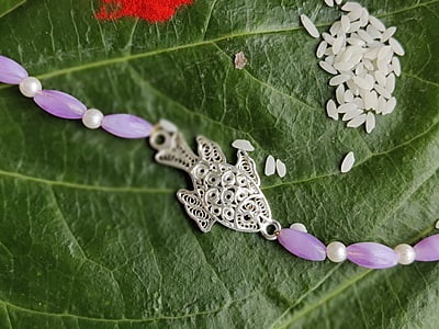 Silver Fish Rakhi